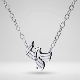 Premium Sterling Silver Necklace